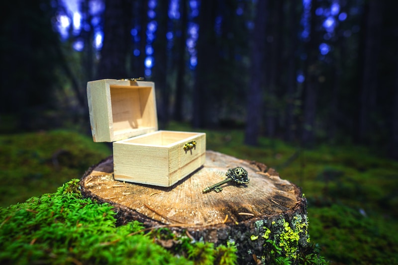 Special Treasure Gift Box And Antique Key In Deep Woods Forest