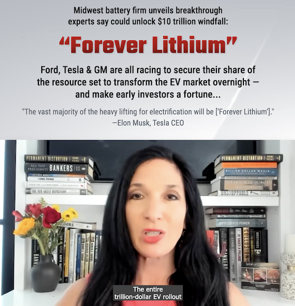 Nomi Prins in a presentation about her "EV Master Key" and "forever lithium" stock pick.